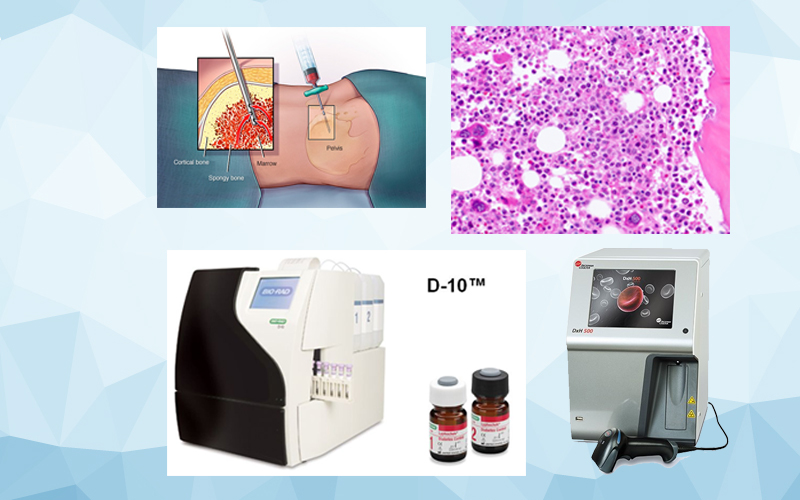 Haematopathology